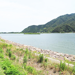 こんにゃく糊付け加工風景