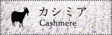 カシミア